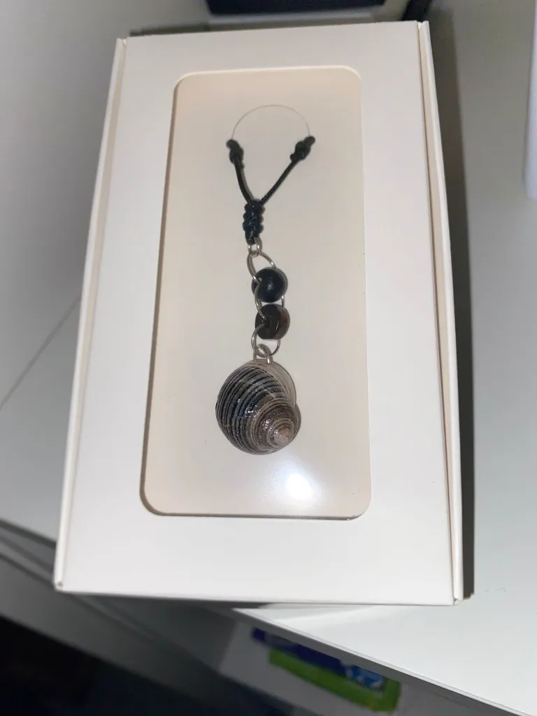 WhatsApp Image 2026-03-08 at 19.40.00.webp