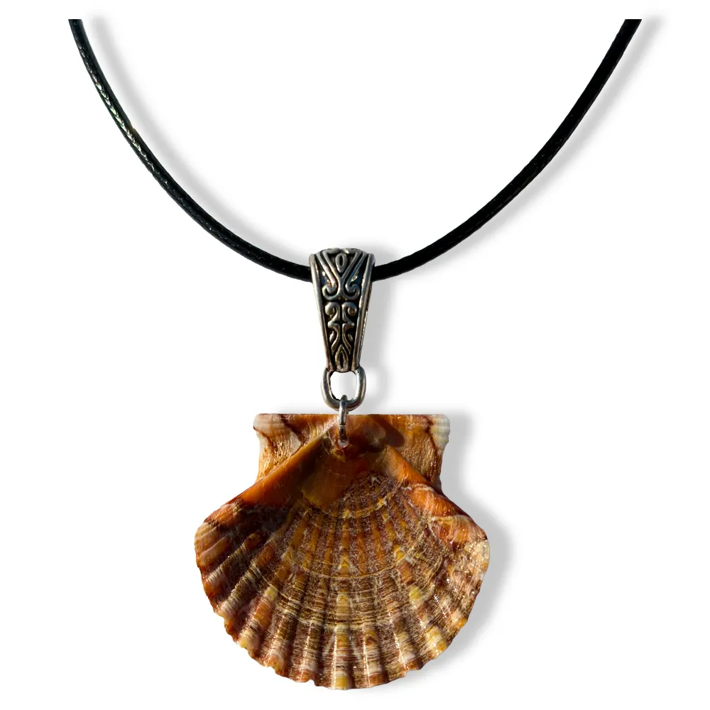 Écorce Marine